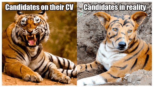 Candidates CV vs reality